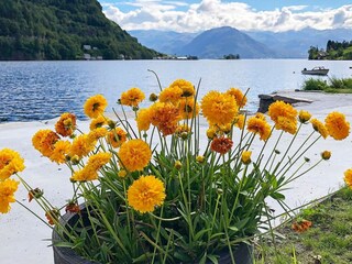 Maison de vacances Øystese  30