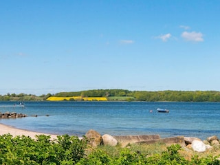 Ferienhaus Sønderballe  27
