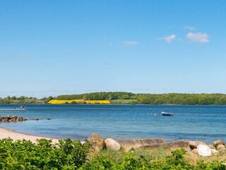 Ferienhaus Sønderballe  34