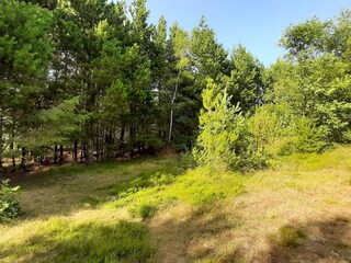 Maison de vacances Skaven Strand  4