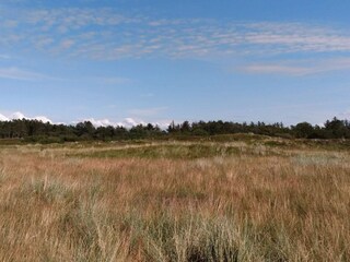 Vakantiehuis Skaven Strand  33