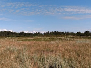 Vakantiehuis Skaven Strand  6
