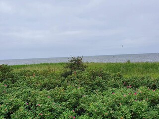 Maison de vacances Skaven Strand  30