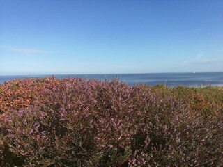 Vakantiehuis Skaven Strand  36