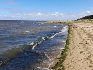 Vakantiehuis Skaven Strand  10
