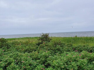 Casa de vacaciones Skaven Strand  16