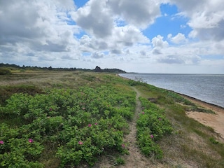 Ferienhaus Skaven Strand  26