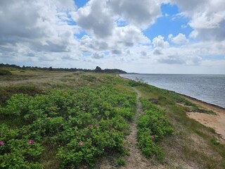 Vakantiehuis Skaven Strand  40