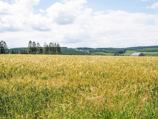 Holiday house Lierneux Environment 30