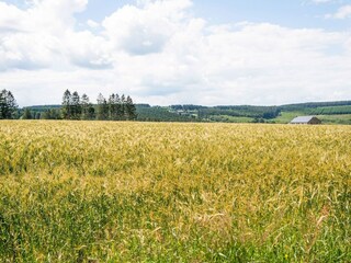 Maison de vacances Lierneux Environnement 31