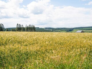 Ferienhaus Lierneux Umgebung 30
