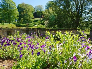 Casa per le vacanze Axvall  17
