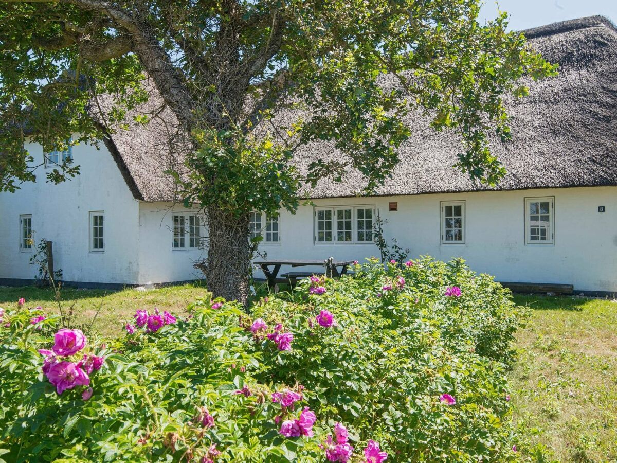 Casa per le vacanze Havneby Registrazione all'aperto 1