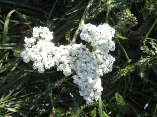 Vakantiehuis Havneby  5