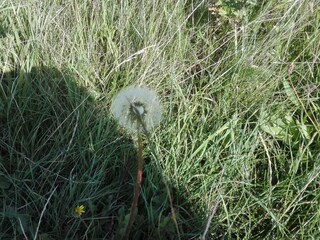 Vakantiehuis Havneby  26