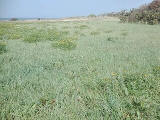 Vakantiehuis Havneby  8