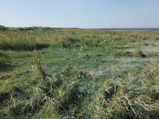 Vakantiehuis Havneby  13