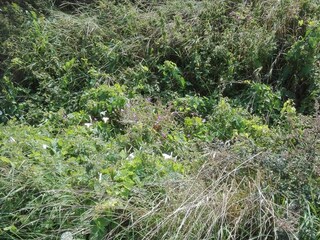 Ferienhaus Havneby  35