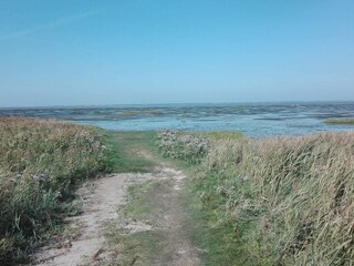 Vakantiehuis Havneby  31