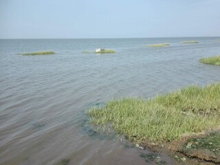 Vakantiehuis Havneby  15