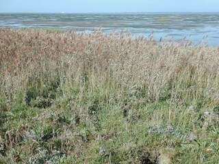 Vakantiehuis Havneby  34