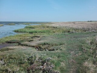 Ferienhaus Havneby  35