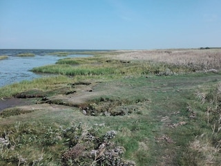 Vakantiehuis Havneby  28