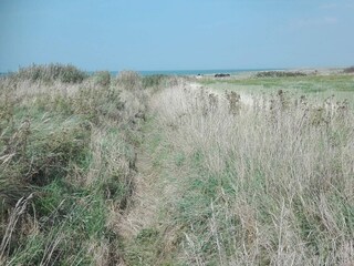 Ferienhaus Havneby  38