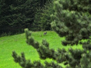 Appartamento Mostek Ambiente 28