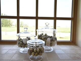 Holiday house Veurne  36