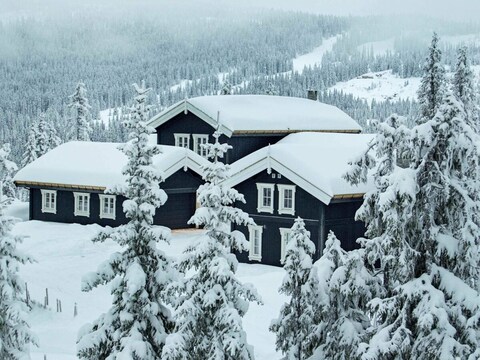 Maison de vacances pour 12 a Fåvang