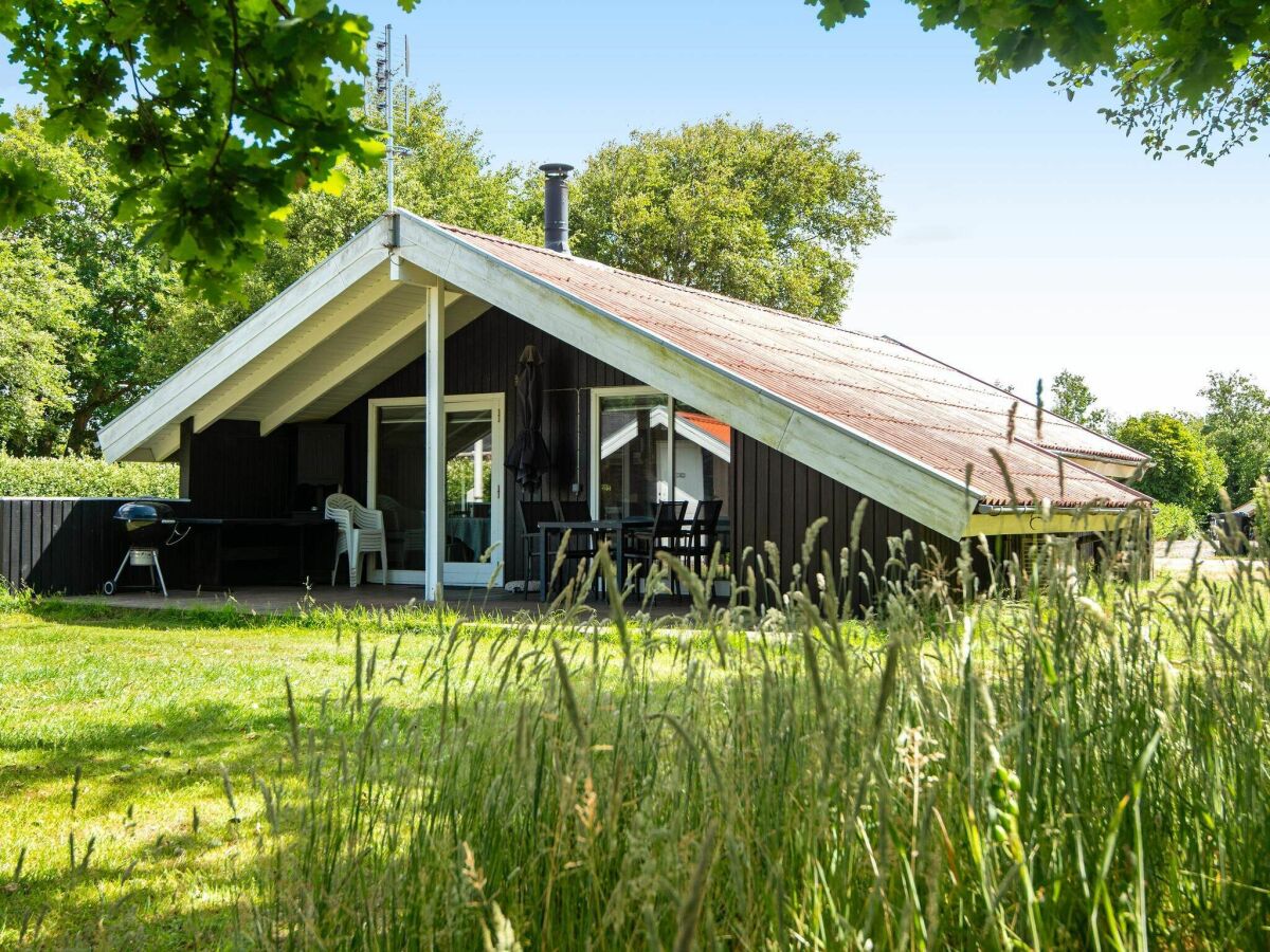 Vakantiehuis Bork Havn Buitenaudio-opname 1