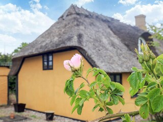 Vakantiehuis Humble  34