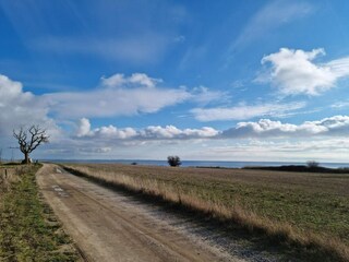 Casa per le vacanze Humble  20