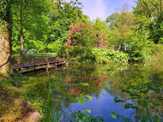 Vakantiehuis Humble  11