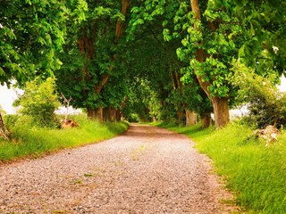 Maison de vacances Humble  39