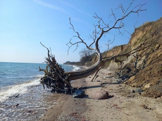 Holiday house Humble  21