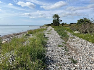 Holiday house Humble  6