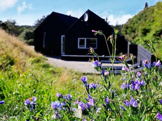 Holiday house Blokhus Outdoor Recording 4