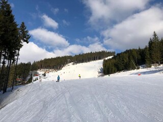 Appartement Jáchymov Omgeving 17