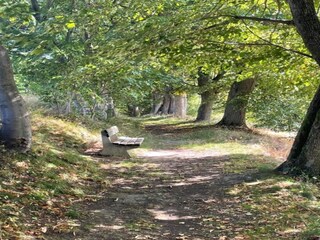 Appartement Jáchymov Omgeving 26