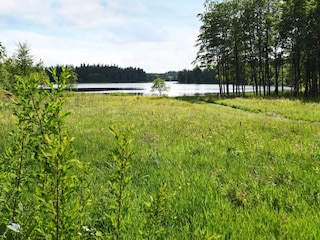 Ferienhaus Färgelanda  8