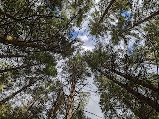 Ferienhaus Färgelanda  17