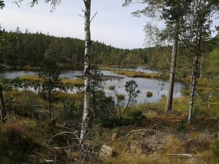 Maison de vacances Färgelanda  29