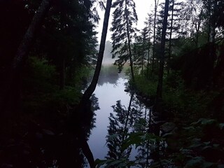 Casa per le vacanze Färgelanda  15