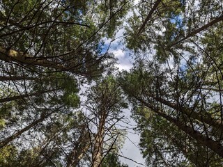 Casa per le vacanze Färgelanda  18