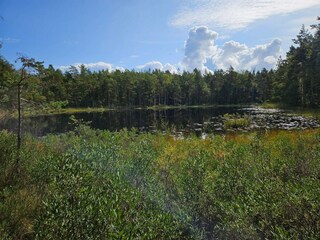 Ferienhaus Färgelanda  15