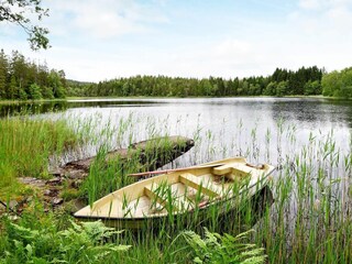 Vakantiehuis Färgelanda Buitenaudio-opname 3