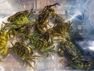 Casa per le vacanze Göteborg  36