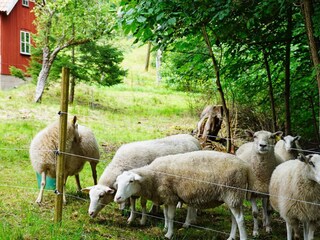 Maison de vacances Lysekil  17